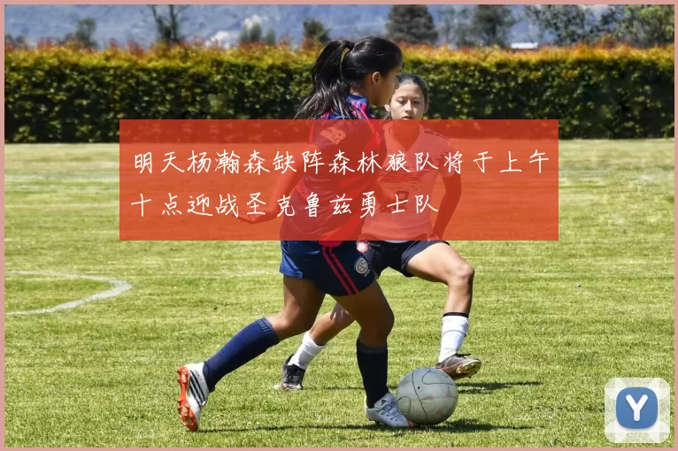 明天杨瀚森缺阵森林狼队将于上午十点迎战圣克鲁兹勇士队